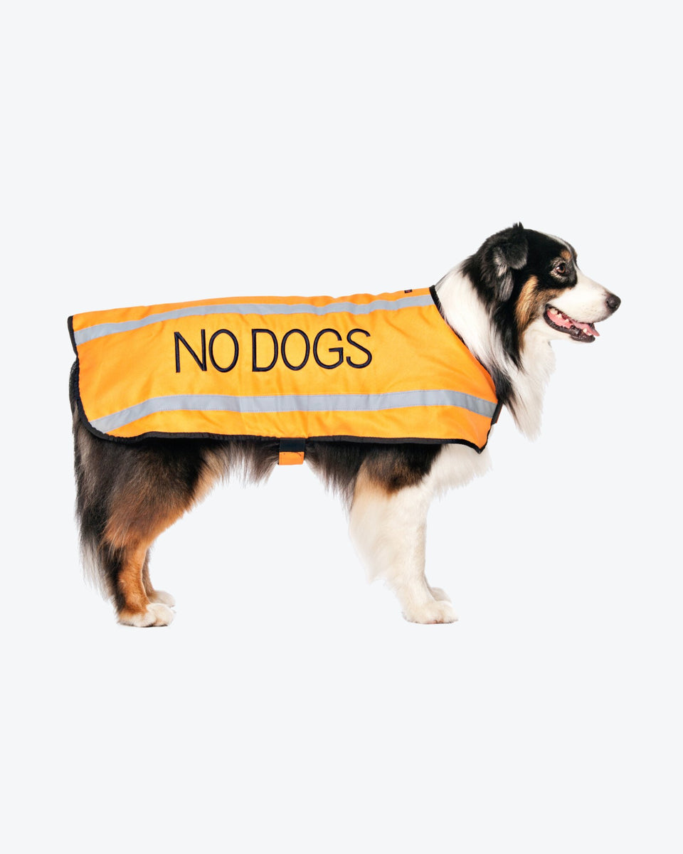 Dog Reflective Coat NO DOGS Orange