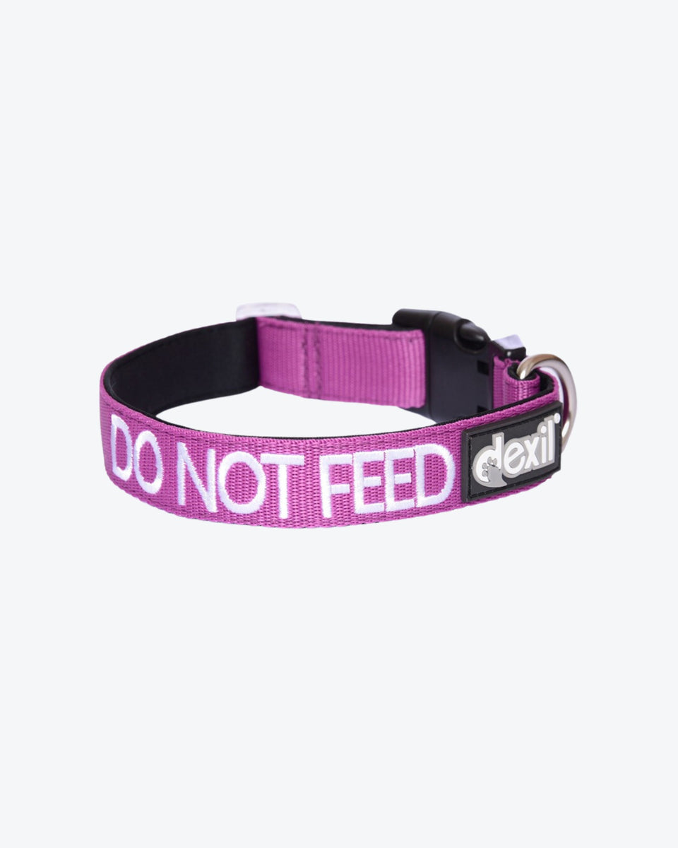 Dog Clip Collar DO NOT FEED Purple The Savvy Pet Co