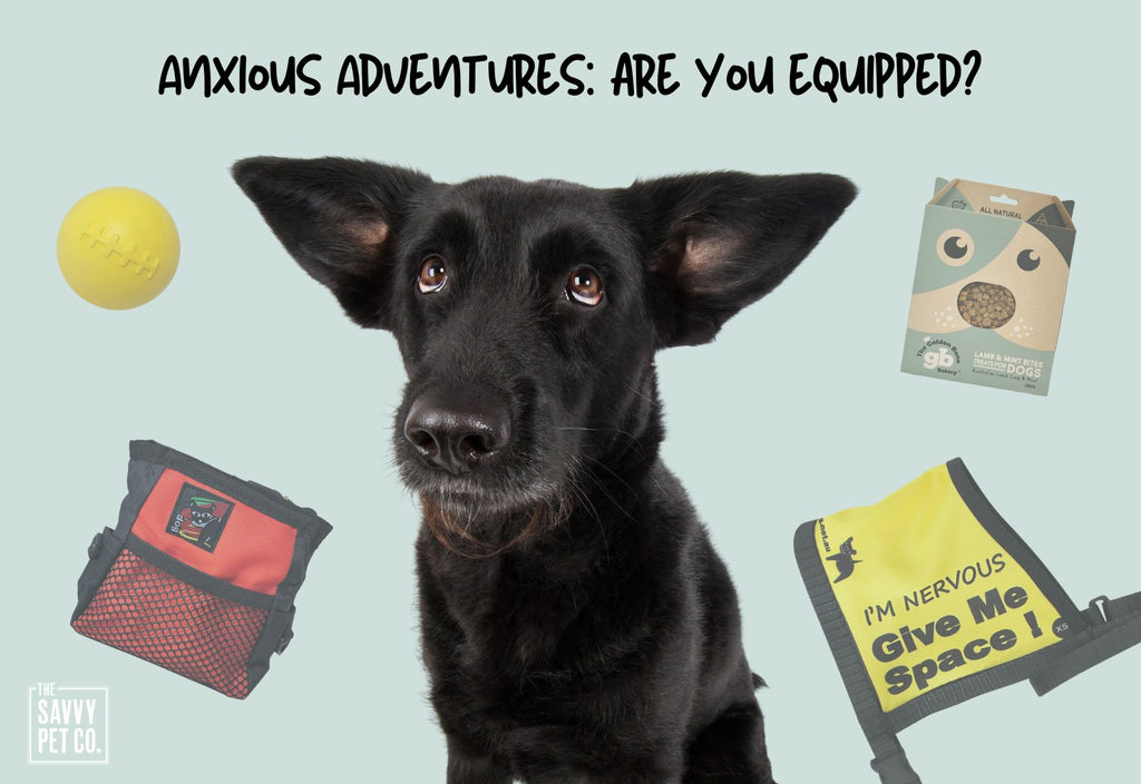 Anxious Adventures: Are you Equipped?