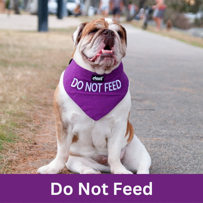 Do Not Feed