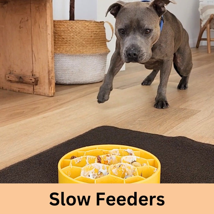 Enrichment - Slow Feeders