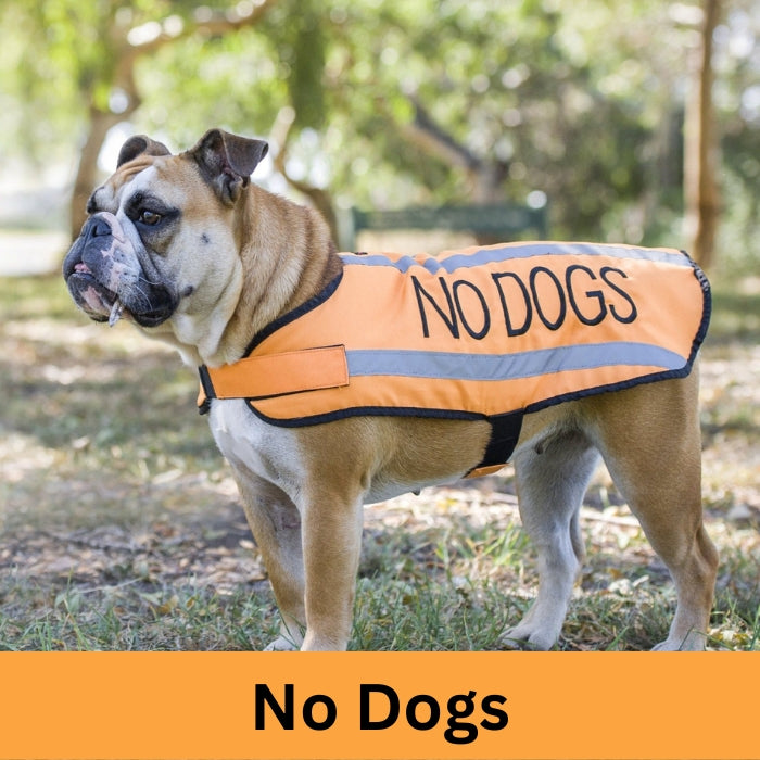 No Dogs