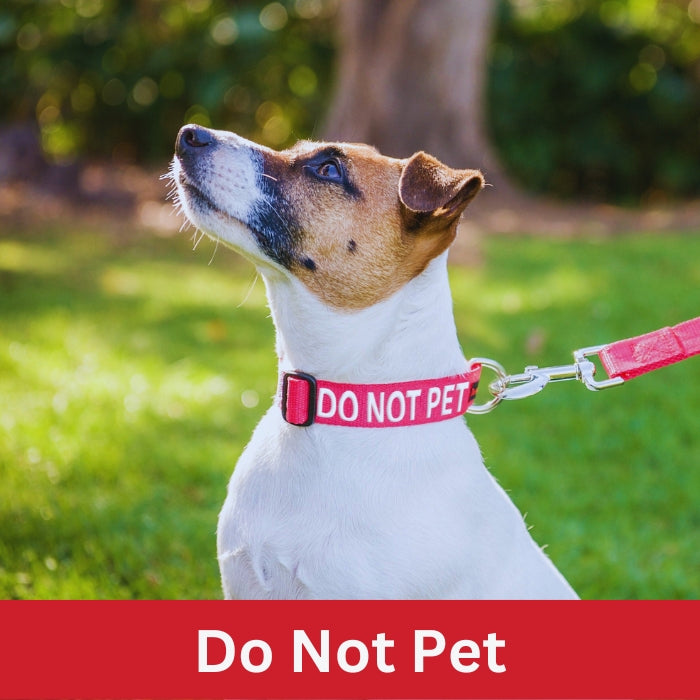 Do Not Pet