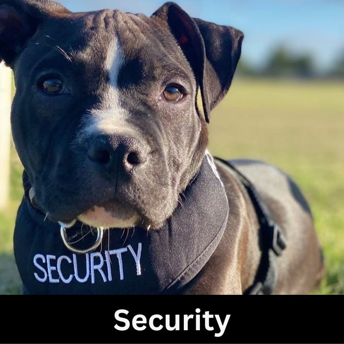 Security