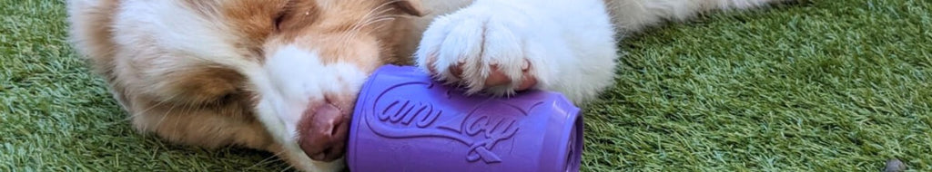 Dog Toys