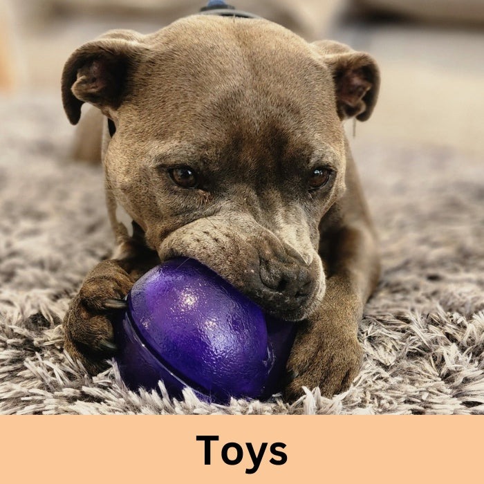 Play / Toys