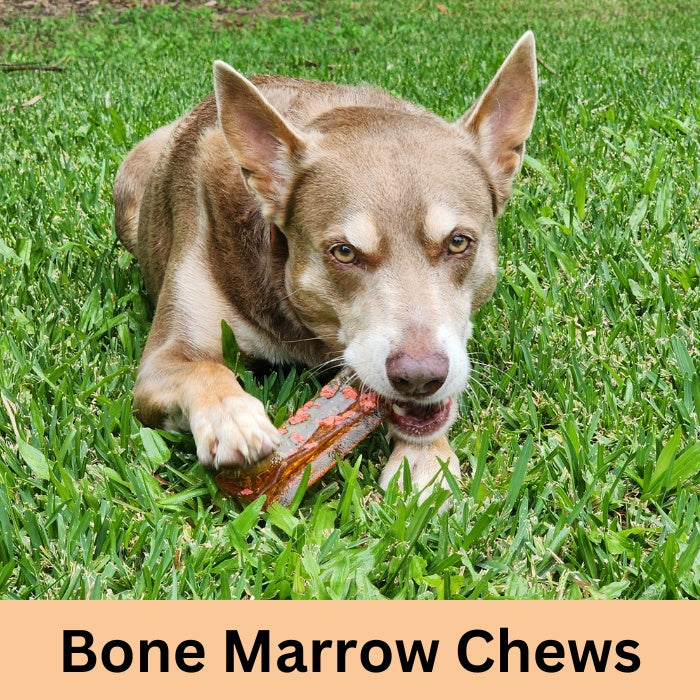 Bone Marrow Chews