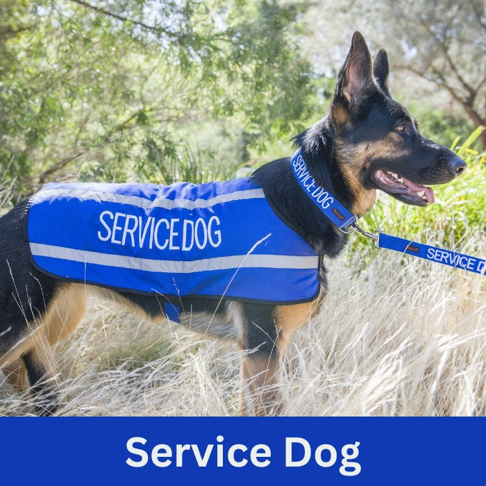 Service Dog