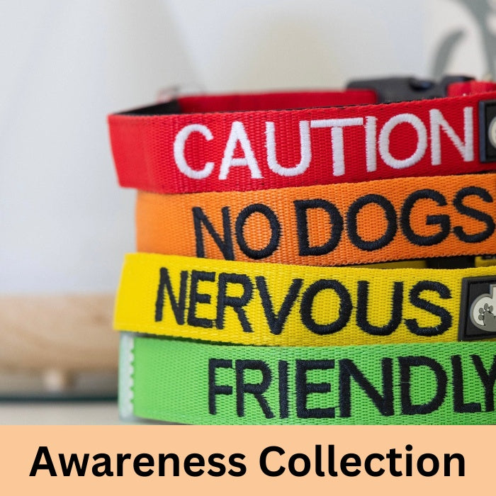 Awareness Collection - Friendly Dog Collars – The Savvy Pet Co