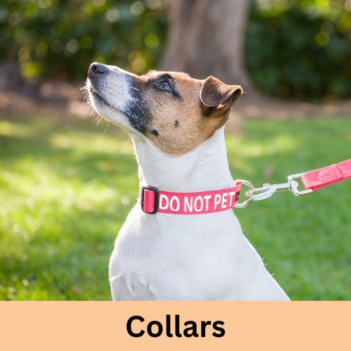 Training - Collars