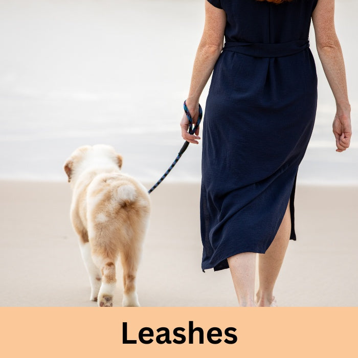 Training - Leashes