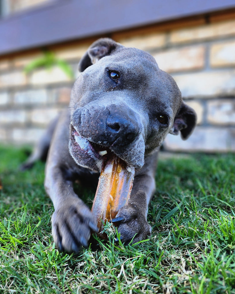 Bone Marrow Chews - Plain